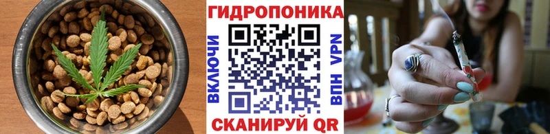 мориарти наркотические препараты  Ивантеевка  Cannafood марихуана 