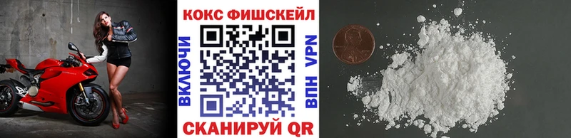 купить наркотики цена  Ивантеевка  Кокаин Fish Scale 