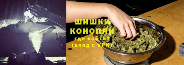 дурь Гусиноозёрск