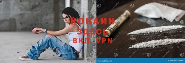 ECSTASY Ельня