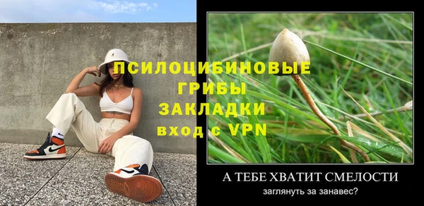 прущая мука Гусь-Хрустальный