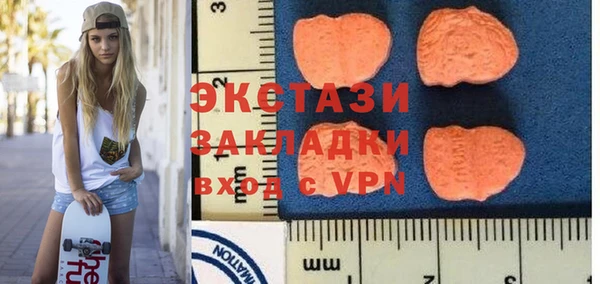 ECSTASY Ельня