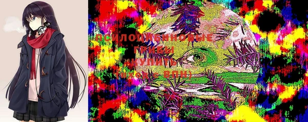 мдпв Гусев