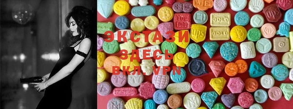 ECSTASY Ельня