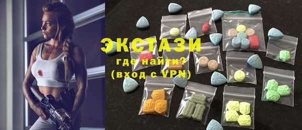 ECSTASY Ельня