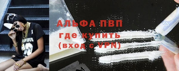 ECSTASY Ельня