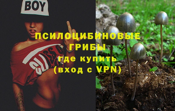 ECSTASY Ельня