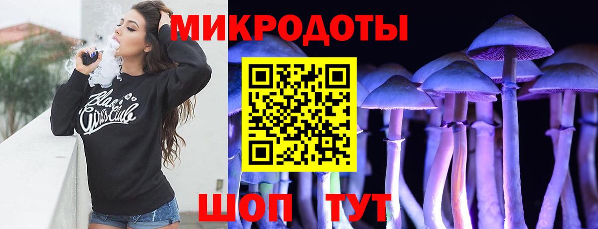 Псилоцибиновые грибы прущие грибы Ивантеевка